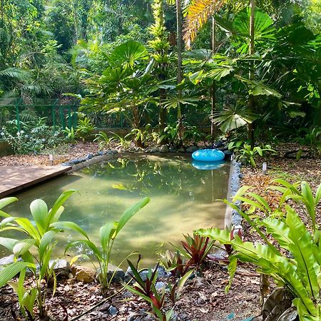 Вілла Daintree Siesta Diwan Екстер'єр фото