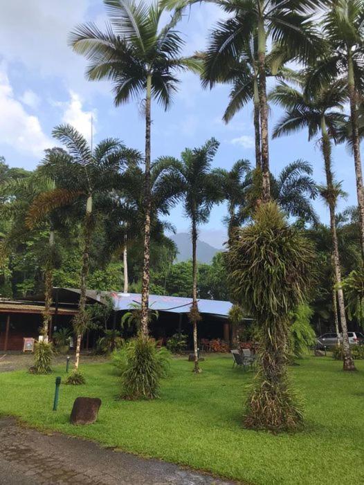 Вілла Daintree Siesta Diwan Екстер'єр фото