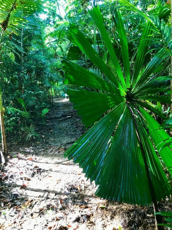 Вілла Daintree Siesta Diwan Екстер'єр фото